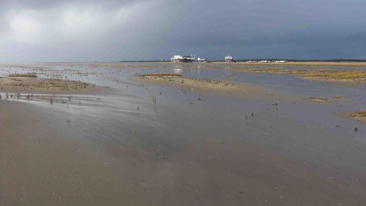 nach dem Gewitter nach dem Gewitter